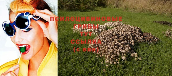 герыч Новокубанск