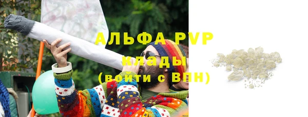 прущие грибы Билибино