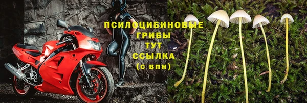 марки lsd Новозыбков