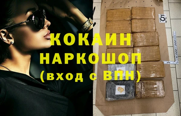прущие грибы Билибино