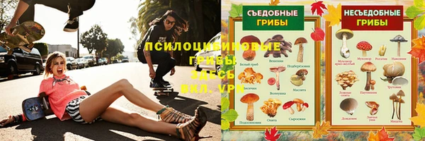 сатива Михайловка