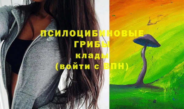 МДПВ Новодвинск