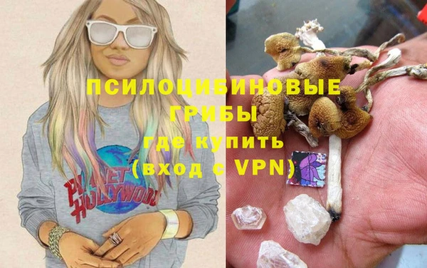 герыч Новокубанск