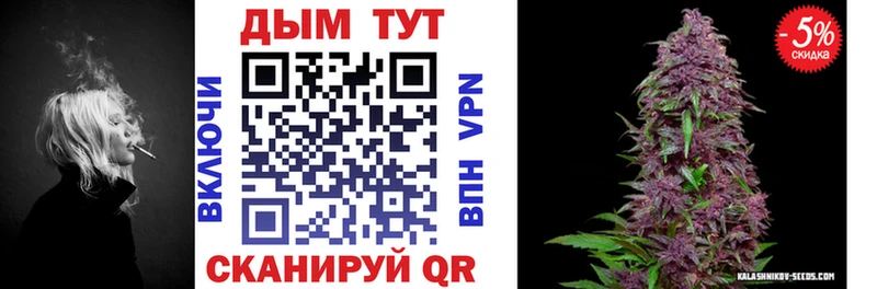 кракен как войти  Петров Вал  Каннабис Amnesia 